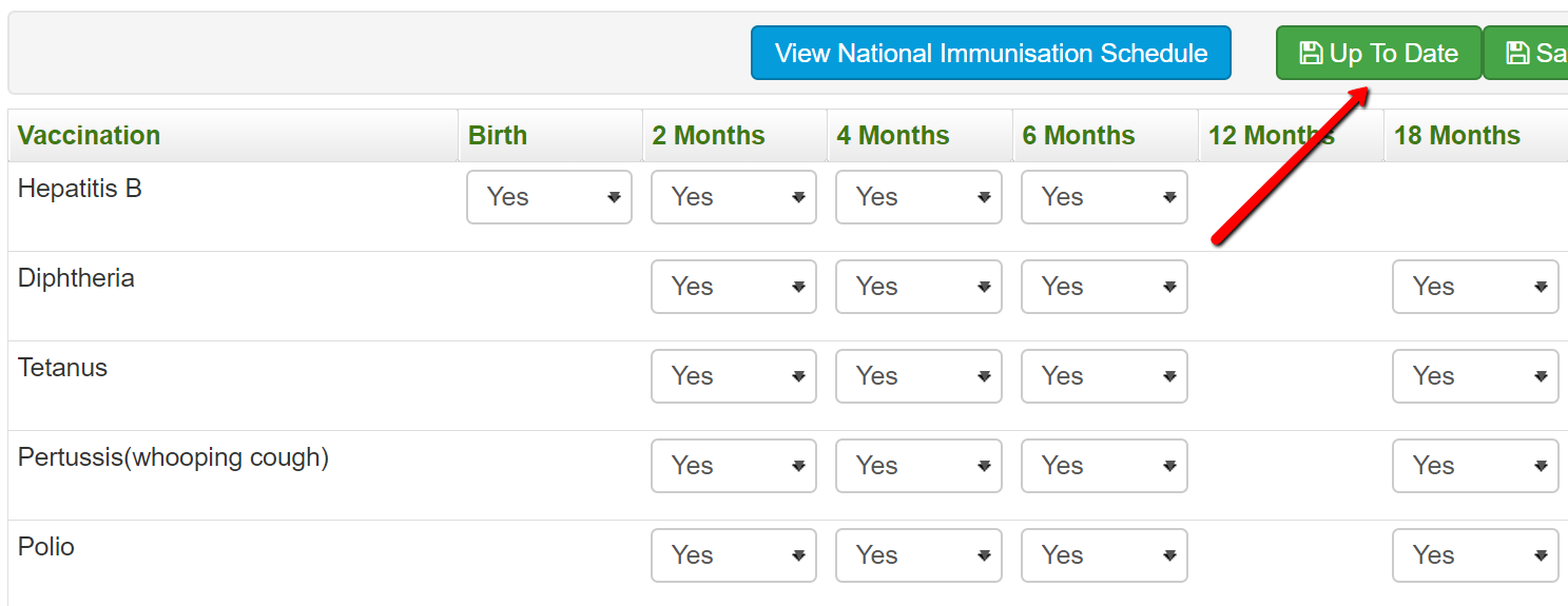 Immunisation Record for a child in care